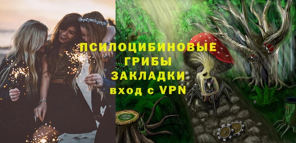 индика Бородино