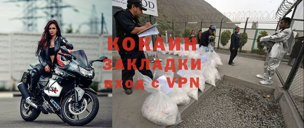 индика Бородино
