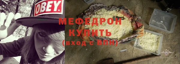 индика Бородино