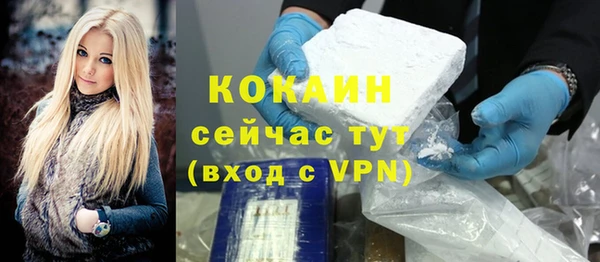 индика Бородино