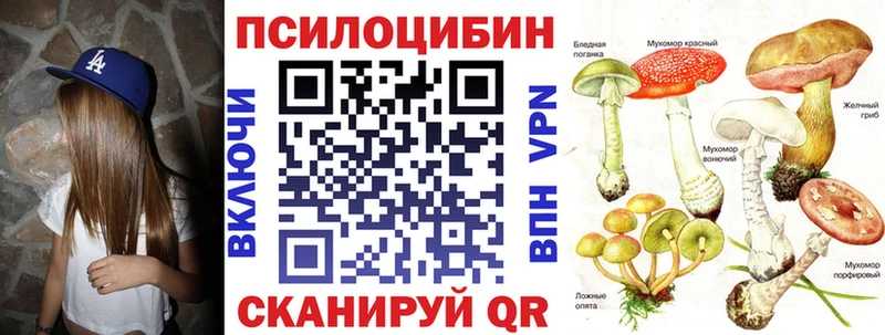 где продают наркотики  Жиздра  Псилоцибиновые грибы Magic Shrooms 